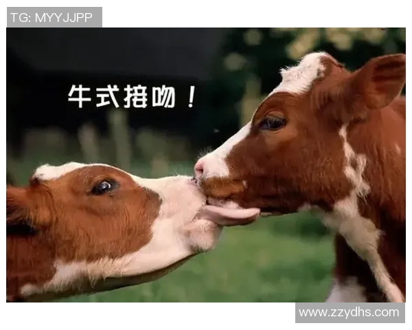 小牛在足球场上的传奇故事与他不为人知的成长经历 小牛在足球场上的传奇故事与他不为人知的成长经历